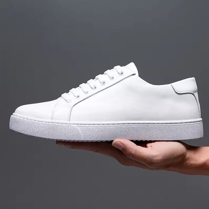 White / 49
